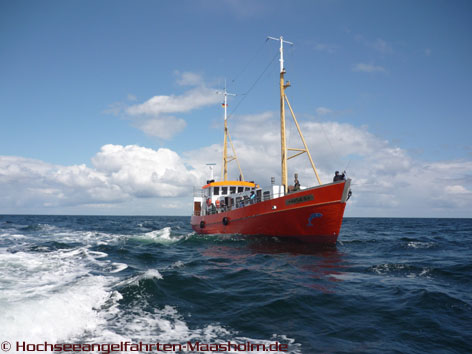 Antje D. Maasholm, Hochseeangeln, Angelfahrten in der Ostsee.